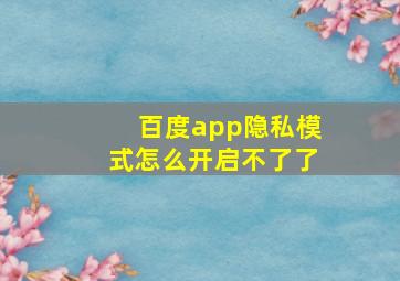 百度app隐私模式怎么开启不了了