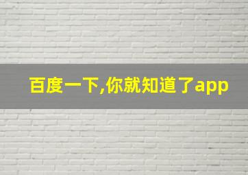 百度一下,你就知道了app