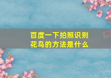 百度一下拍照识别花鸟的方法是什么