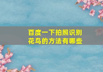 百度一下拍照识别花鸟的方法有哪些