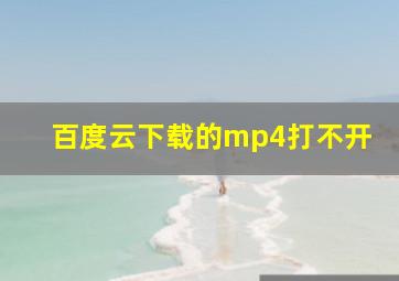 百度云下载的mp4打不开