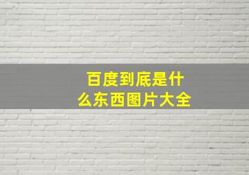 百度到底是什么东西图片大全