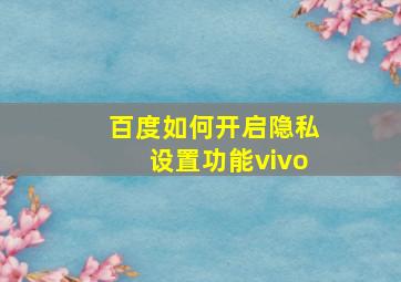 百度如何开启隐私设置功能vivo