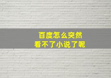 百度怎么突然看不了小说了呢