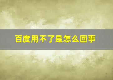 百度用不了是怎么回事