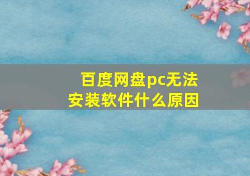 百度网盘pc无法安装软件什么原因