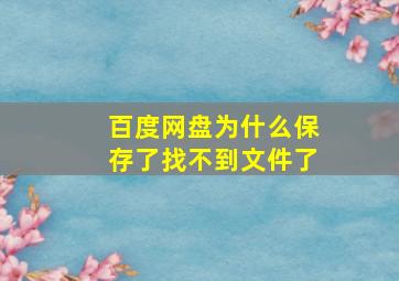 百度网盘为什么保存了找不到文件了