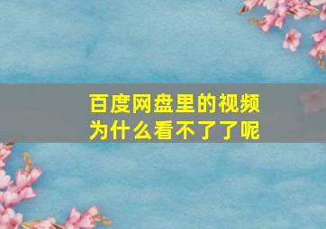 百度网盘里的视频为什么看不了了呢