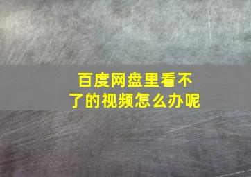 百度网盘里看不了的视频怎么办呢