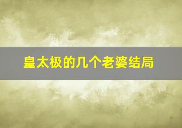 皇太极的几个老婆结局