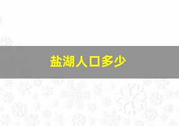 盐湖人口多少