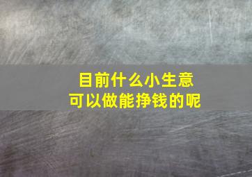 目前什么小生意可以做能挣钱的呢