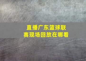 直播广东篮球联赛现场回放在哪看