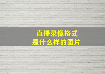 直播录像格式是什么样的图片