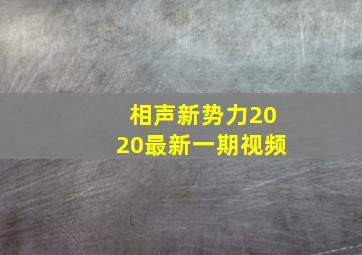 相声新势力2020最新一期视频