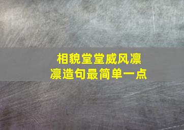 相貌堂堂威风凛凛造句最简单一点