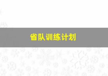 省队训练计划