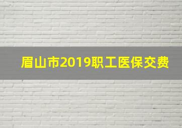 眉山市2019职工医保交费