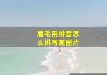 眉毛用拼音怎么拼写呢图片