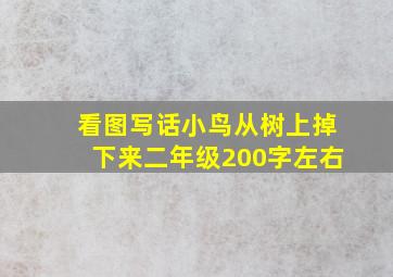 看图写话小鸟从树上掉下来二年级200字左右