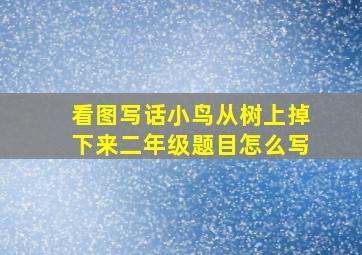 看图写话小鸟从树上掉下来二年级题目怎么写