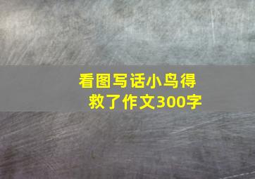 看图写话小鸟得救了作文300字