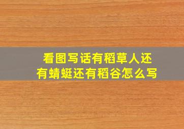 看图写话有稻草人还有蜻蜓还有稻谷怎么写