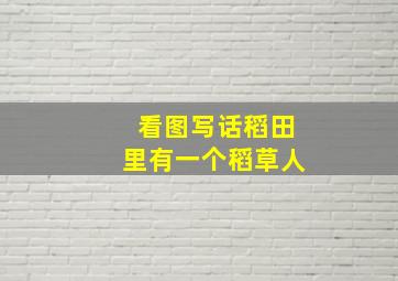 看图写话稻田里有一个稻草人