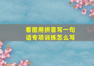 看图用拼音写一句话专项训练怎么写