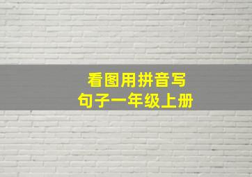 看图用拼音写句子一年级上册