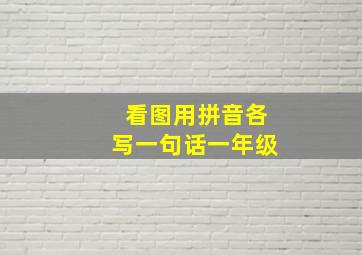 看图用拼音各写一句话一年级