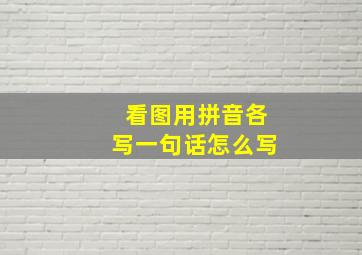 看图用拼音各写一句话怎么写