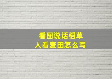 看图说话稻草人看麦田怎么写