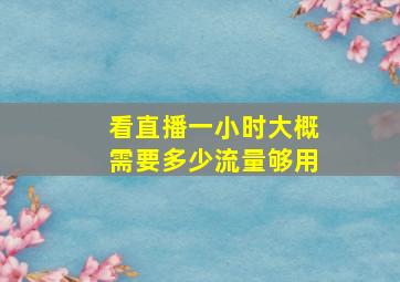 看直播一小时大概需要多少流量够用