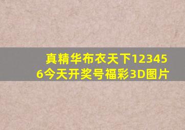 真精华布衣天下123456今天开奖号福彩3D图片