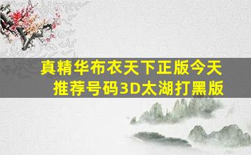 真精华布衣天下正版今天推荐号码3D太湖打黑版