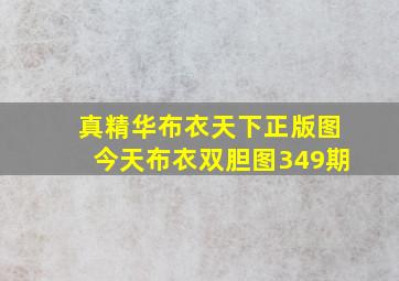 真精华布衣天下正版图今天布衣双胆图349期