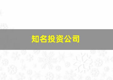 知名投资公司