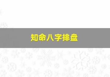 知命八字排盘