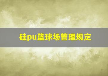 硅pu篮球场管理规定