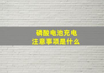 磷酸电池充电注意事项是什么