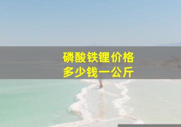 磷酸铁锂价格多少钱一公斤