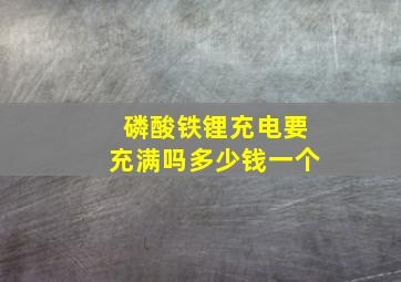 磷酸铁锂充电要充满吗多少钱一个