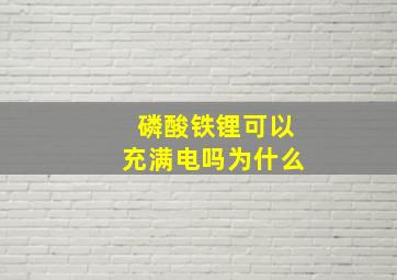 磷酸铁锂可以充满电吗为什么