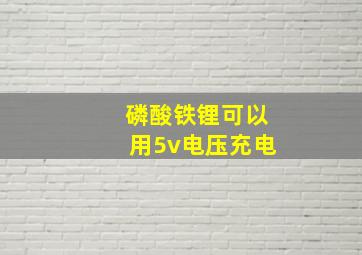 磷酸铁锂可以用5v电压充电