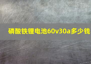 磷酸铁锂电池60v30a多少钱