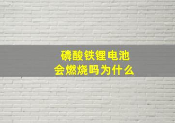 磷酸铁锂电池会燃烧吗为什么