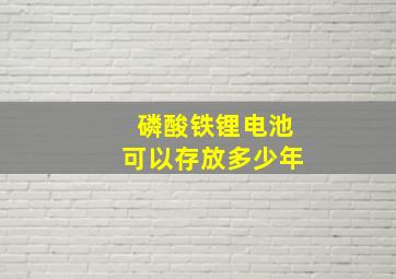 磷酸铁锂电池可以存放多少年