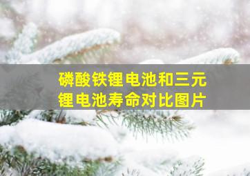 磷酸铁锂电池和三元锂电池寿命对比图片