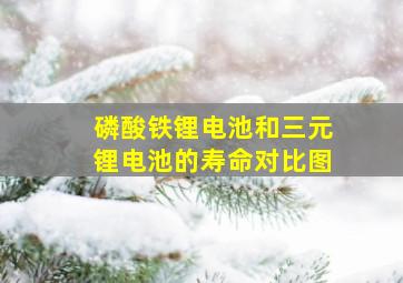 磷酸铁锂电池和三元锂电池的寿命对比图